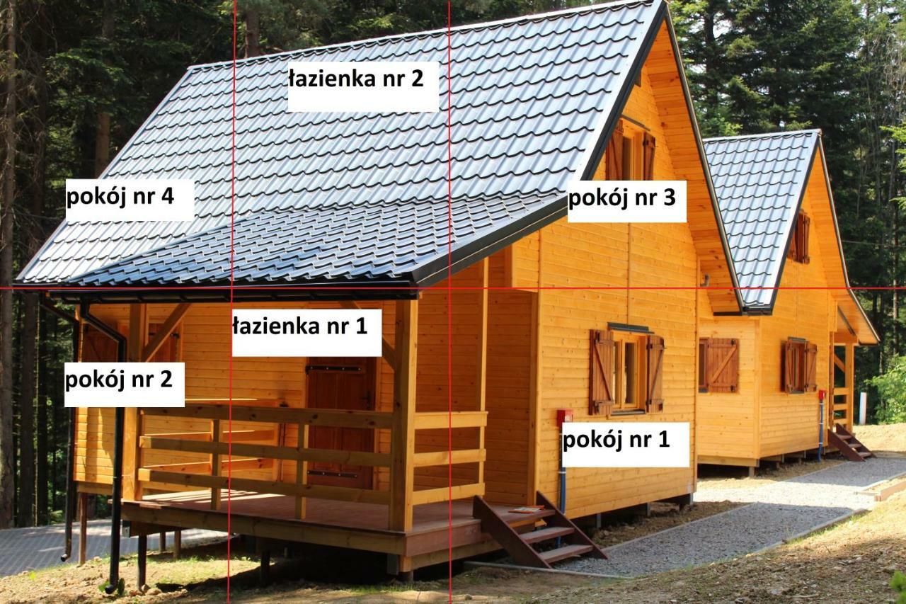 Lesna Willa Pttk W Komanczy Komańcza Esterno foto