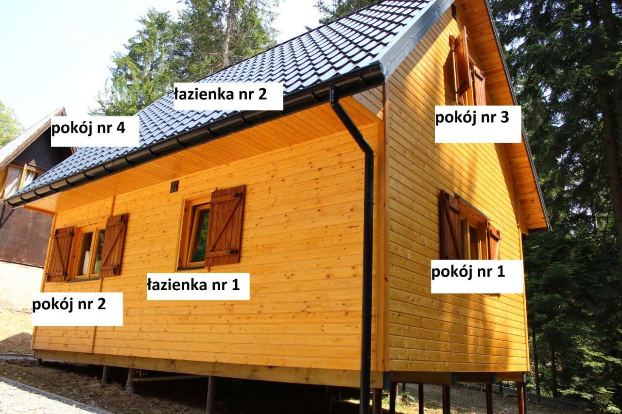 Lesna Willa Pttk W Komanczy Komańcza Esterno foto